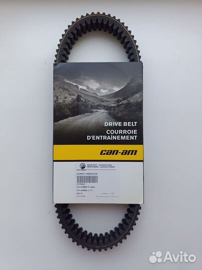 Ремень вариатора BRP 422280366