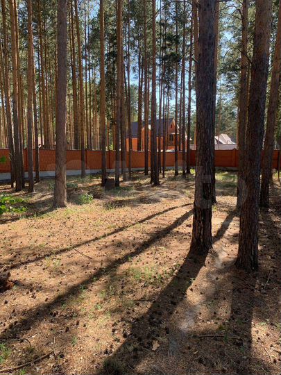 Участок 15 сот. (СНТ, ДНП)