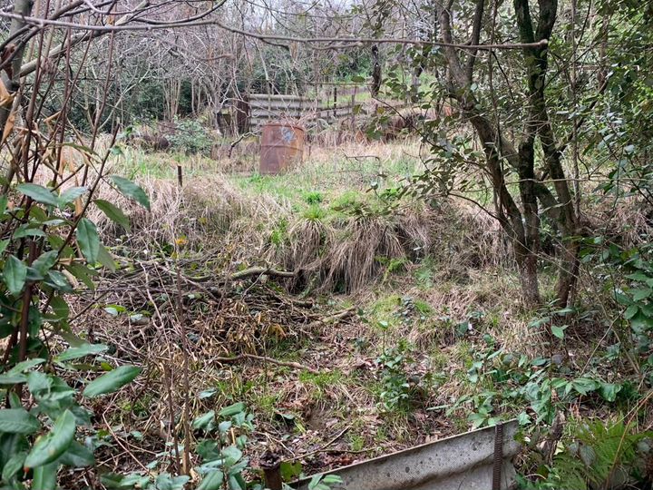 Участок 1 сот. (СНТ, ДНП)