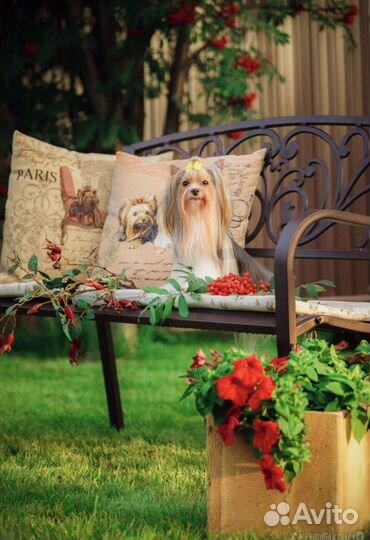 Бивер вязка