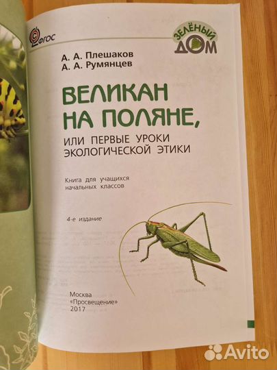 Великан на поляне А.А. Плешаков