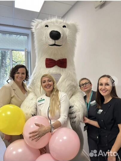 Поздравим в костюме белого медведя