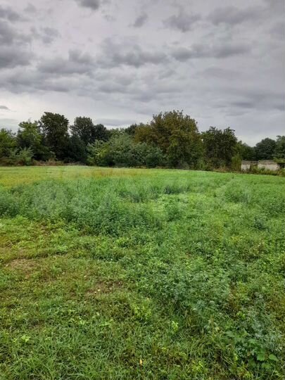 Участок 40 сот. (ИЖС)