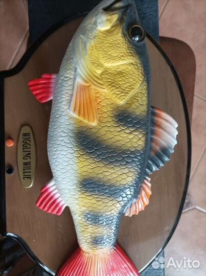 Рыба wiggling willie