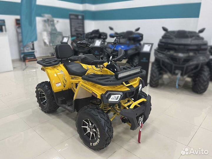 Motoland Wild Track X 200 PRO + лебедка Квадроцикл