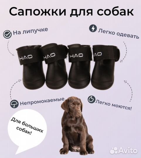 Ботинки для собак