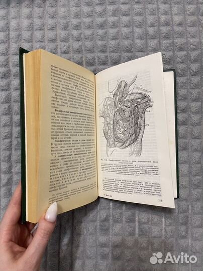 Анатомия человека Самусев Селин