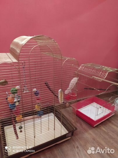 Клетки гнезда доставка для попугаев