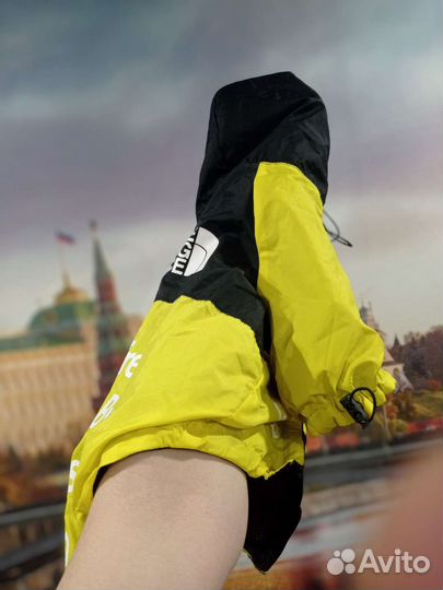 Одежда для собак