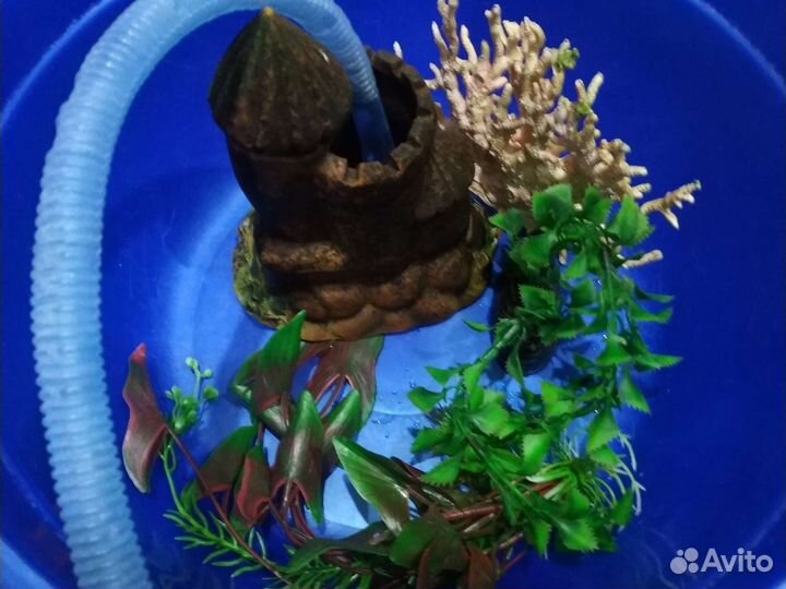 Аквариум 60 л