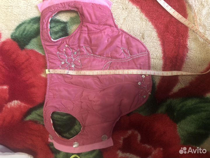 Вещи для маленьких собачек