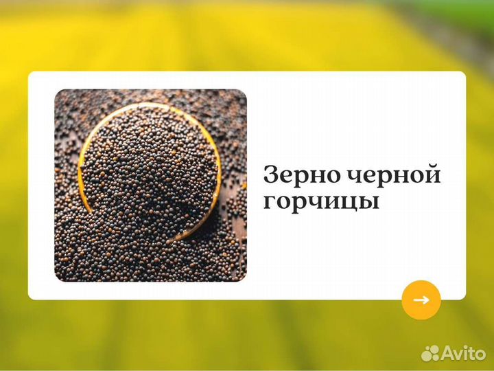 Чёрная горчица (кг)