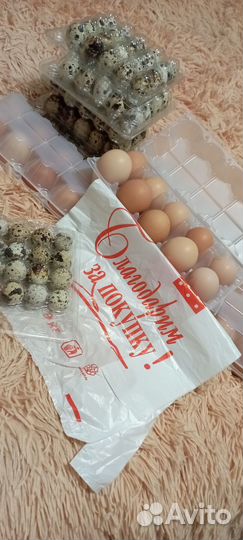 Яйца куриные/перепелиные