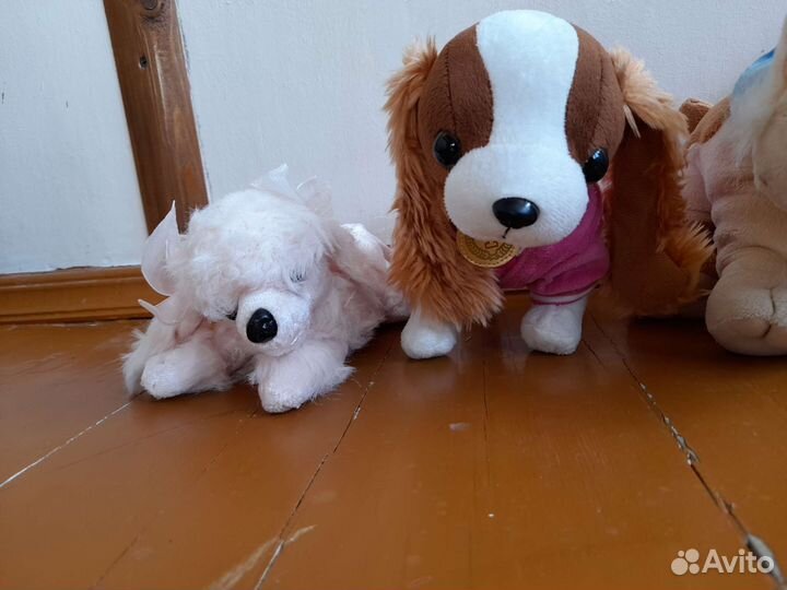 Мягкие игрушки. 5 собачек и кошка