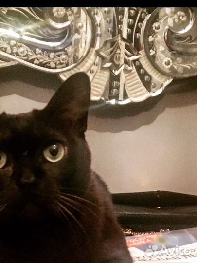 Зеркало венецианское Arte Veneziano