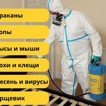 Дезинфекция Дезинсекция Дератизация Опыт более 10 лет, Апрелевка