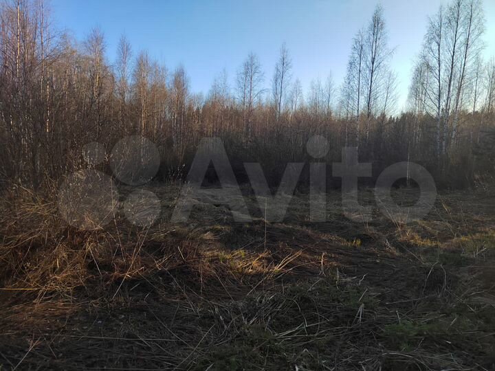 Участок 8,5 сот. (СНТ, ДНП)