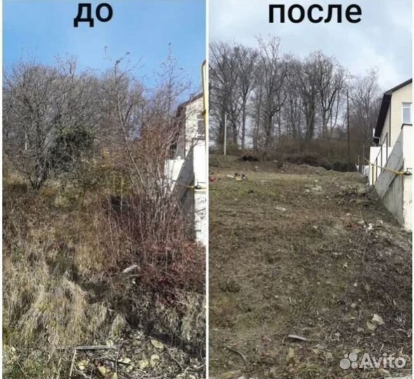 Покос травы, борщевика и уборка участка