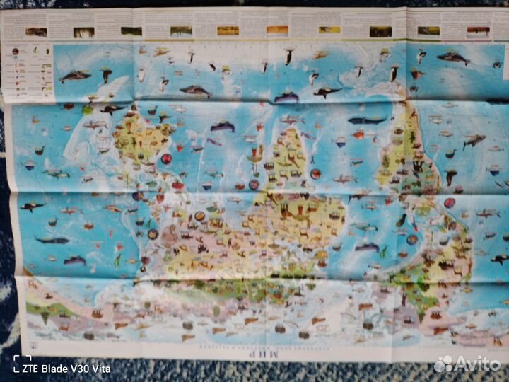 Настенная карта россии