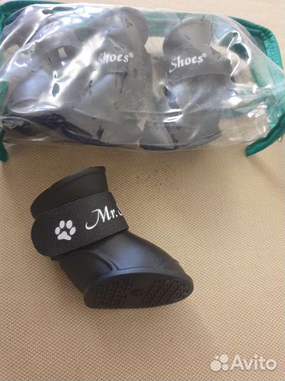 Одежда и обувь для собак