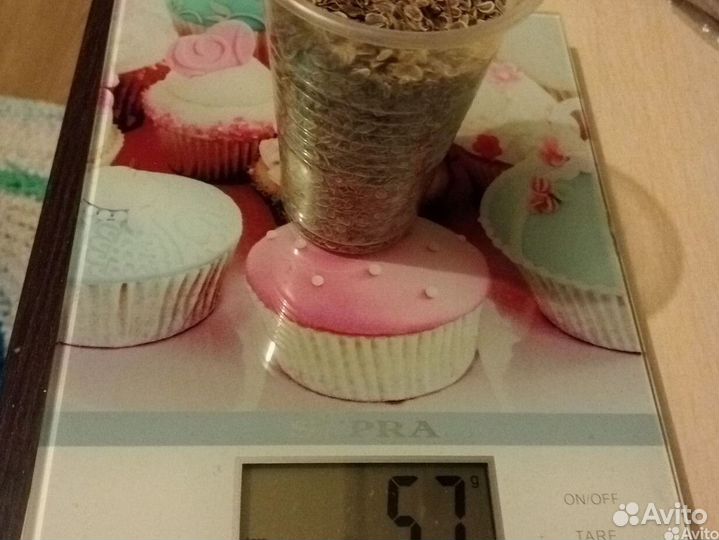 Семена укропа