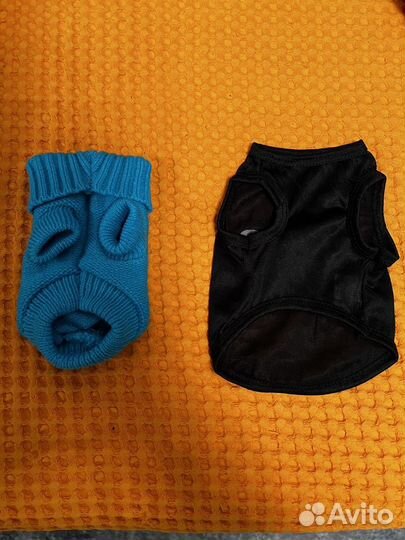 Одежда для животных