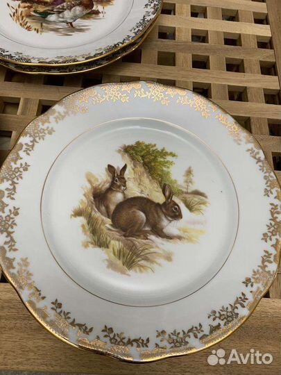 Лимож Франция