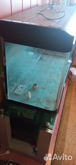 Продается аквариум на 200 литров