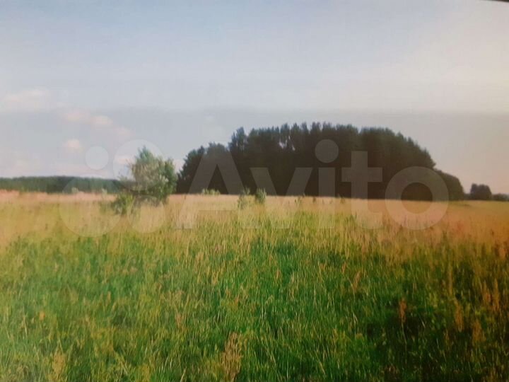 Участок 5 га (СНТ, ДНП)