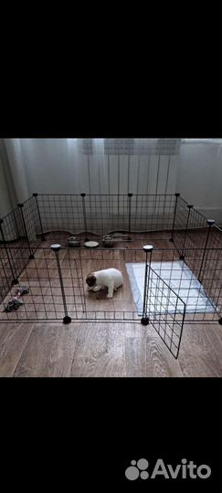 Вольер для собак
