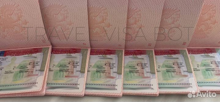 Оформление Визы США, Шенген, Бот На Визу США