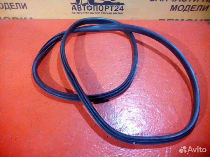 Уплотнительная резинка двери задняя правая Renault