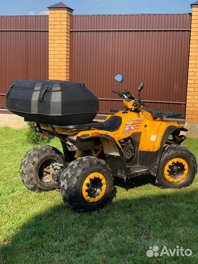 Avantis hunter 200 big lux