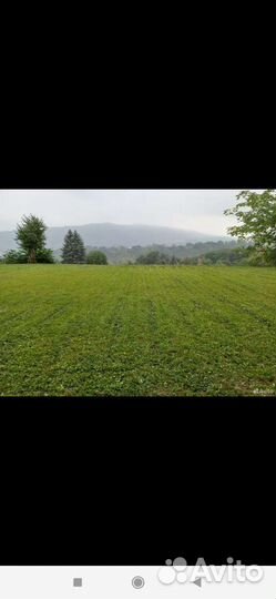 Покос травы тримером диском И леской