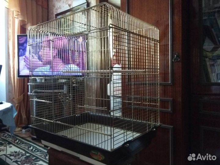 Клетка для попугая в хорошем состоянии