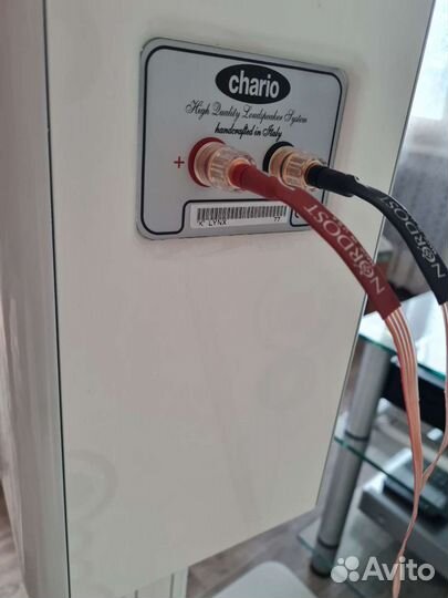 Акустика Chario Constellation K Lynx white