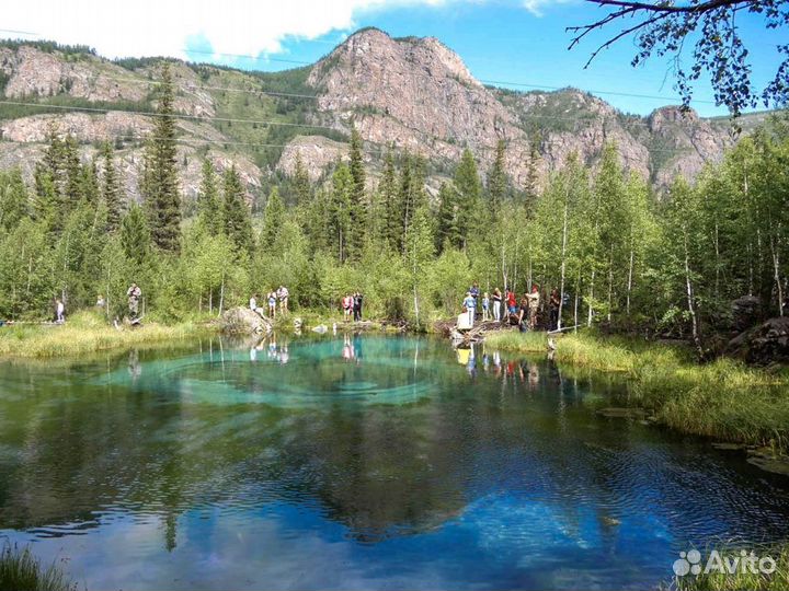 Алтай лето 2024