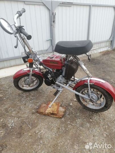 Продам зид-Птаха