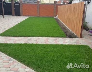 Рулонный газонУкладка Рулонного газонаГазон от про