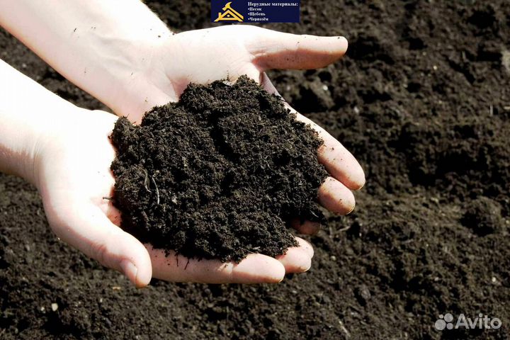 Сеянный чернозем