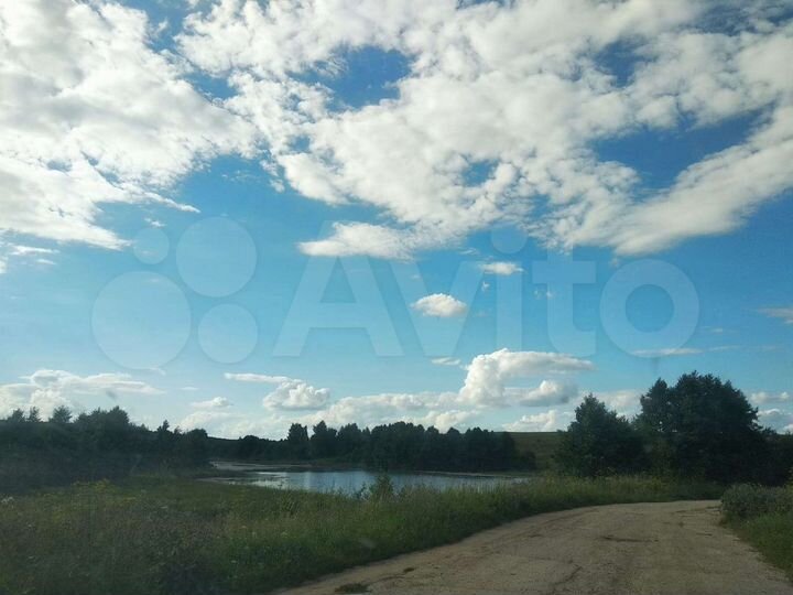 Участок 49 сот. (ИЖС)