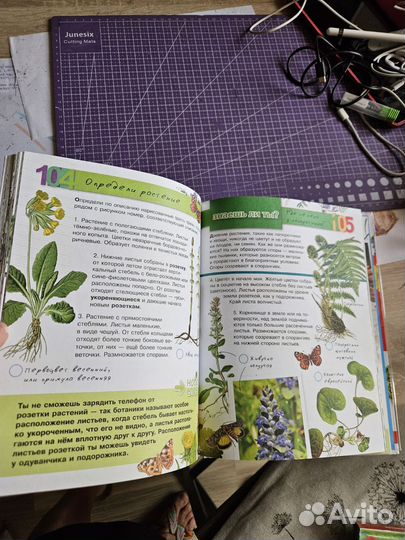 Энциклопедия юного эколога для детей