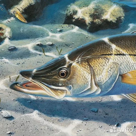 Нереис сушенный червь морской