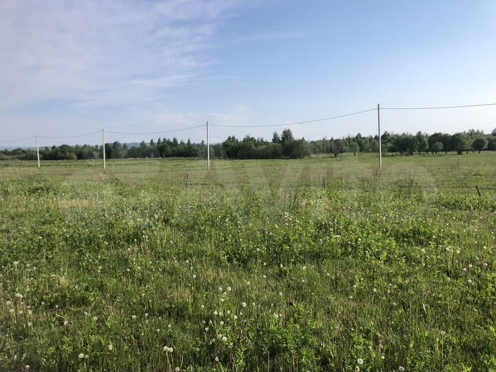 Участок 12,5 сот. (СНТ, ДНП)