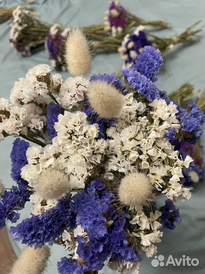 Цветы статица