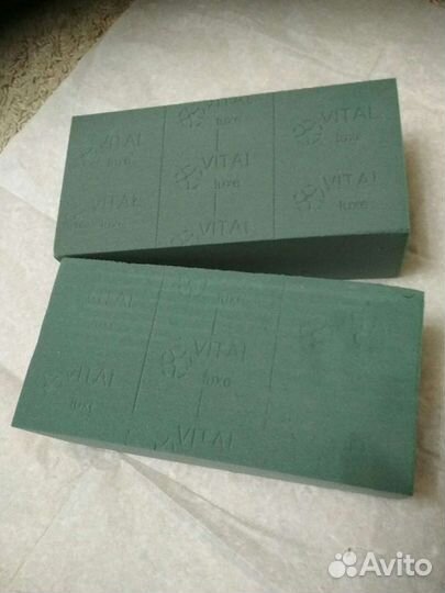 Оазиз, флористическа губка