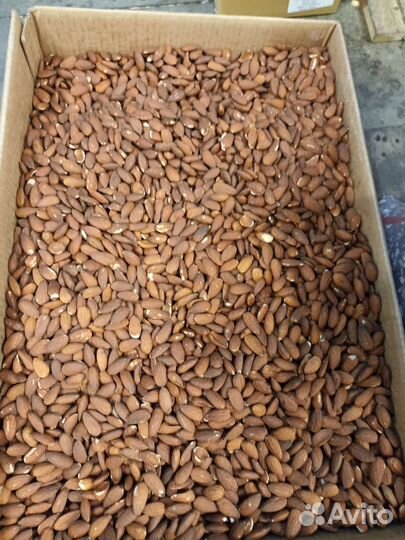 Миндаль оптом