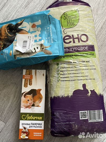 Декоративные кролики