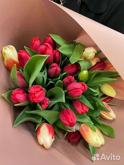 Тюльпаны к 8 марта оптом