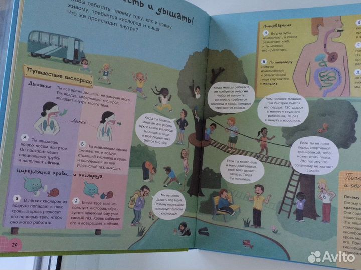 Первая книга для малышей обо всем на свете